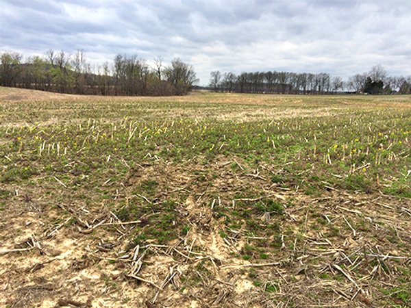 LAND AUCTION - 192+/- ACRES OFFERED IN 1 TRACT IN SALINE COUNTY, ILLINOIS